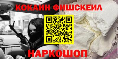 мет Кингисепп