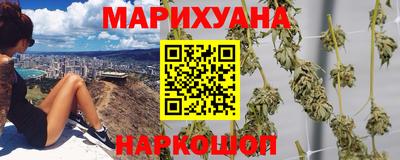 мет Кингисепп