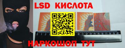 мет Кингисепп