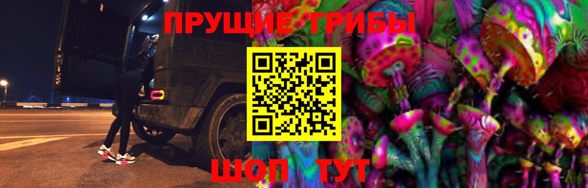 Псилоцибиновые грибы Magic Shrooms  Вход с VPN  Кириши  Псилоцибиновые грибы прущие грибы 